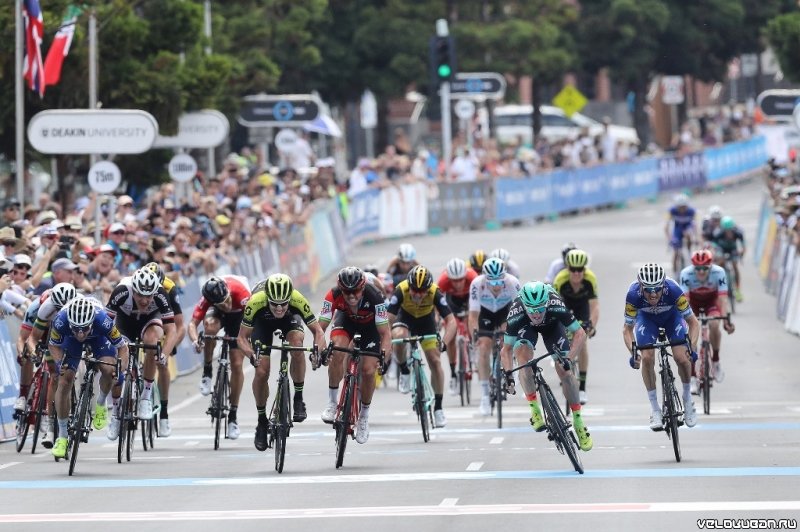 Джей Маккарти – победитель Cadel Evans Great Ocean Road Race-2018