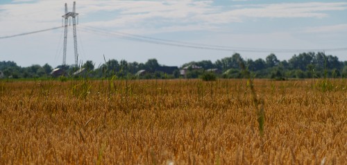 10.06.2018 Окрестности г. Герсеванова