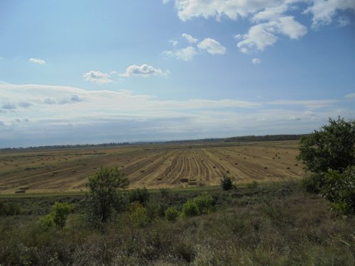 19.09.2020. Елизаветка.